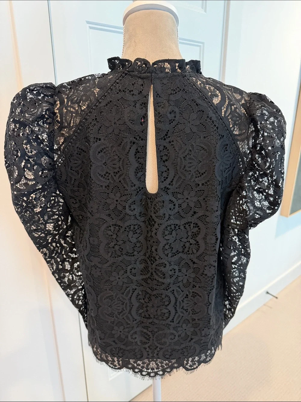 Lilly Pulitzer delicate all